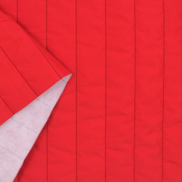 СТЕЖКА КУРТОЧНАЯ